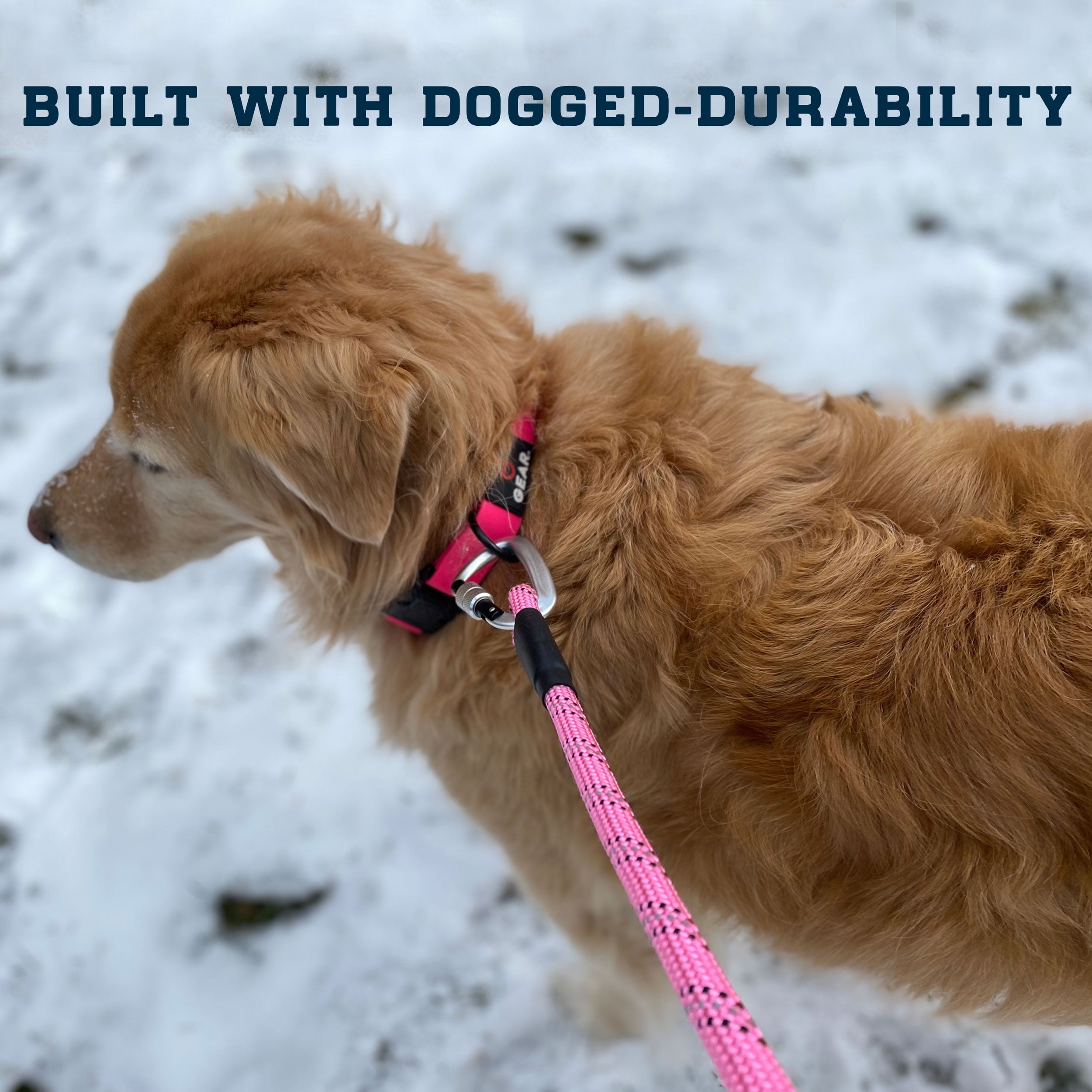 Enthusiast Gear Climbing Rope Dog Leash with Locking Carabiner for Large and Medium Breeds | Reflective Braiding and Comfortable Padded Grip (6' Foot)