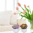 thumbnail image 5 of 2 uds suculentas de simulación en macetas pequeños adornos creativos flores y plantas de simulación, 5 of 5