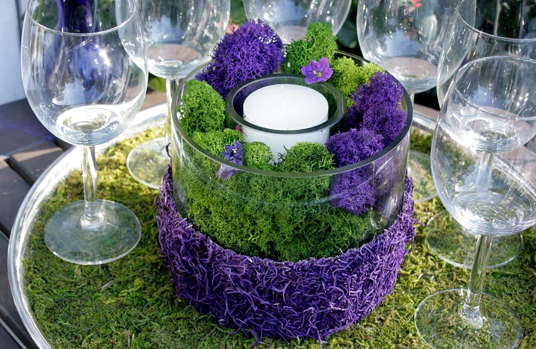 Super Moss 25124 Reindeer Moss Purple