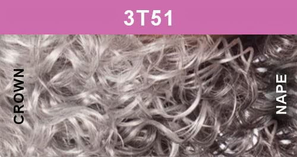Foxy Silver (Roberta - Heat Resistant Fiber Lace Part Wig in 3T51