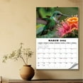 Desk Calendar 2025.12026.1 Hummingbird Calendar Calendar Calendar for