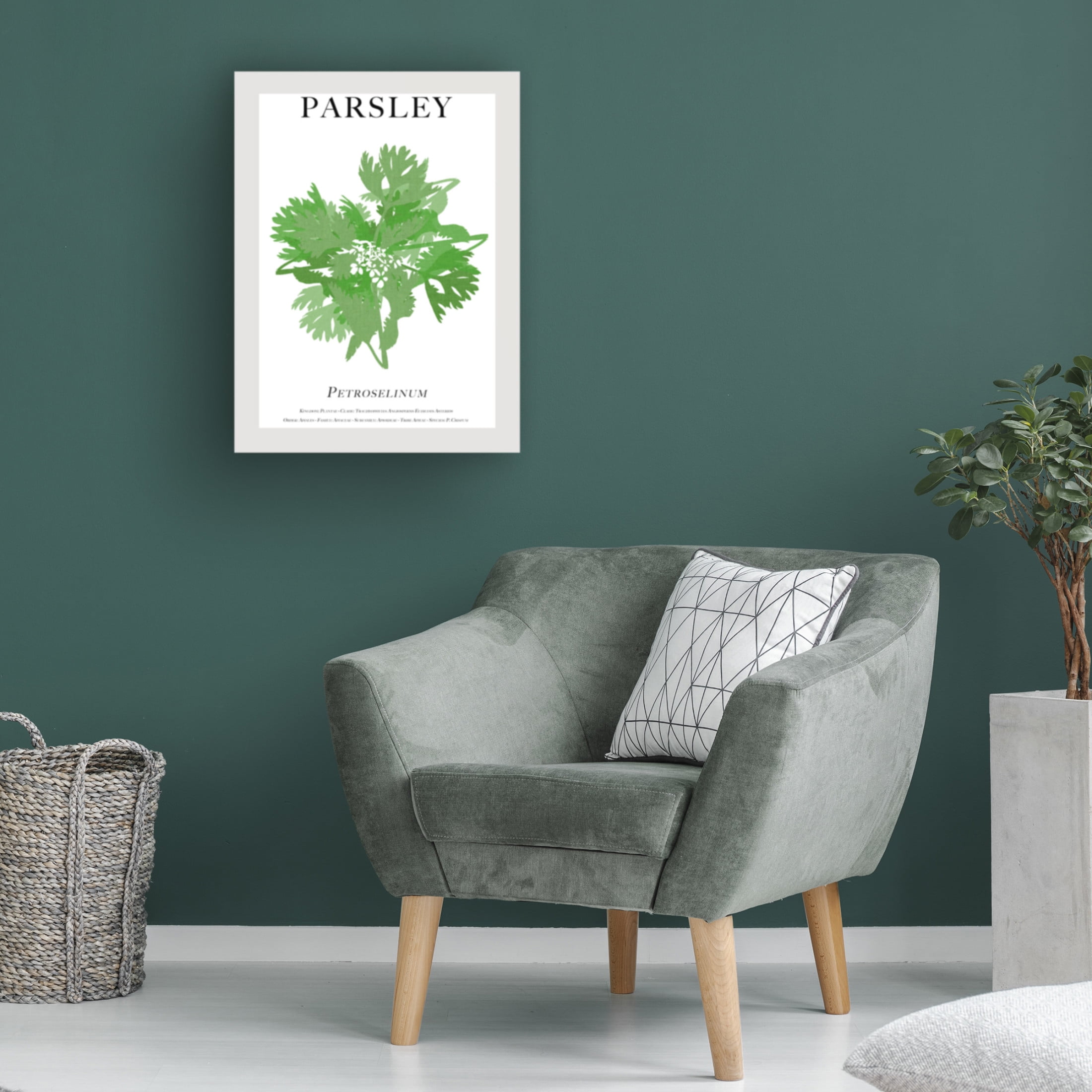 Trademark Fine Art Cartissi Parsley Canvas Wall Art