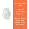 thumbnail image 3 of McKesson Disposable Toddler Training Pants, Soft and Stretchable, Size 2T-3T, 26 Count, 4 Packs, 104 Total, 3 of 12