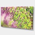thumbnail image 2 of Belles Fleurs de Menthe dans le Jardin - Impression sur Toile Florale, 2 of 3