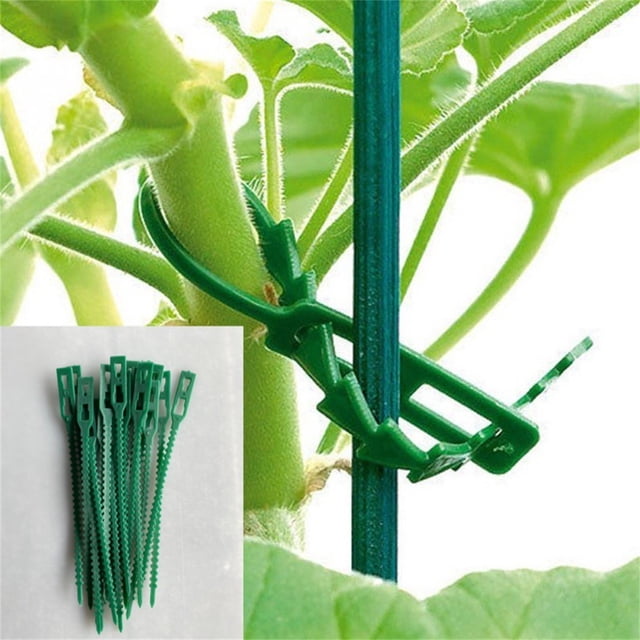 Fiudx Liquidación de ofertas flash Correa de sujeción hortícola, ligera y práctica, fácil de insertar para fijar plantas, corbata multiusos de espina de pescado para jardín, verde, varias cantidades