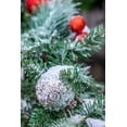 thumbnail image 2 of Looney, Hollice 17x24 White Modern Wood Framed Museum Art Print Titled - USA-Maryland-Bethesda-First snowfall on Holiday decoration, 2 of 4
