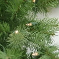 thumbnail image 4 of Northlight Real Touch™️ Pre-Lit Noble Fir Artificial Christmas Wreath - 30" - Clear Lights, 4 of 7