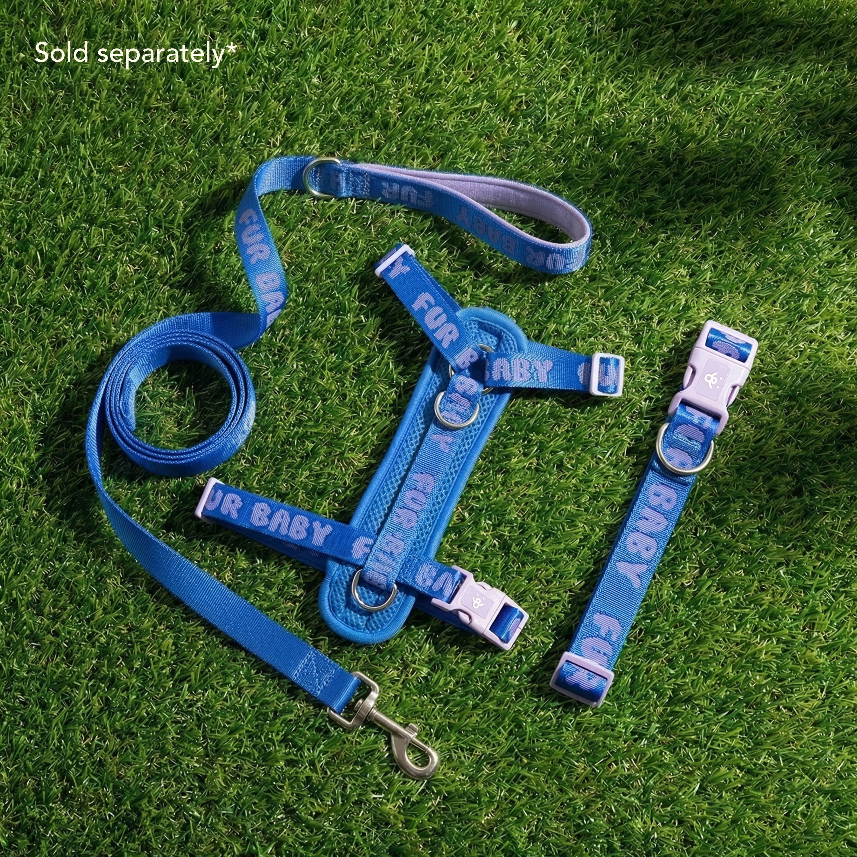 Oodles Fur Baby Polyester Fashion Dog Collar, Blue, XL