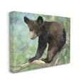 thumbnail image 3 of Stupell Bear Cub Forest Tree Wildlife Animals & Insects Painting Gallery Wrapped Canvas Print Wall Art, 3 of 5