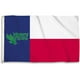 Bsi Products 23103A North Texas Mean Green - Drapeau de 3 x 5 Pi avec Œillets – image 1 sur 1