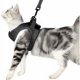 thumbnail image 1 of Arnés y correa para gatos ultraligeros Collar para gatitos Chaleco para correr suave y cómodo para gatos A prueba de fugas Adecuado para cachorros Conejo Gris M, 1 of 1
