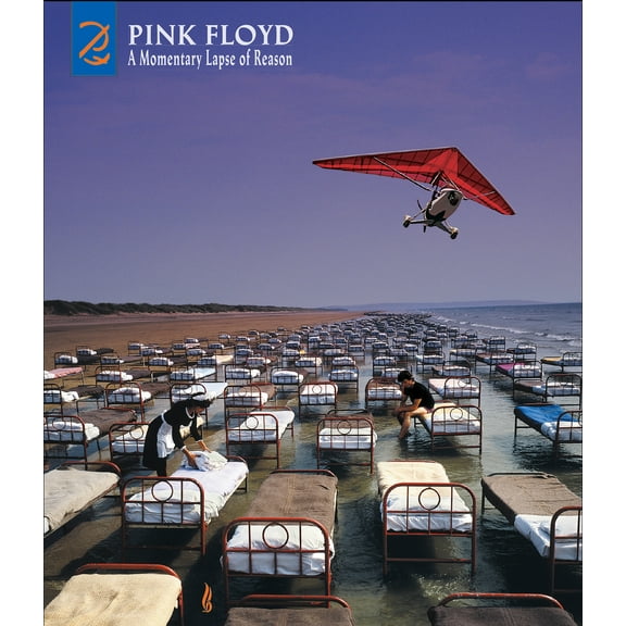 Pink Floyd - A Momentary Lapse Of Reason: Remixed & Updated [Deluxe CD/DVD] - Music & Performance - CD