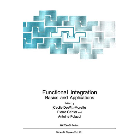 NATO Science Series B: Functional Integration: Basics and Applications, Book 361, (Hardcover)
