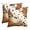 A, variant on Sm:)e Ghost Pumpkin Maple Leaf Halloween Pillow Covers 18x18 Inch Set of 2, Cushion Covers for Sofa Home Decor
