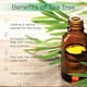 thumbnail image 3 of Aceite esencial Radha Beauty Tea Tree 120 ml, 3 of 8