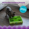 thumbnail image 2 of Catstages Grass Patch Hunting and Play Box Ball Cat Toy, 2 of 7
