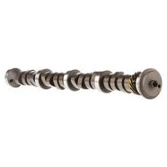 Ford Performance Parts Engine M-6250-E303 Hydraulic Roller Camshaft ...