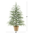 thumbnail image 3 of HaCpiu Potted 4ft Pre-Lit Twinkle LED Cypress Artificial Christmas Tree, Green, 100 LED, 3 of 7