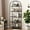Black(5 Tier), variant on 5 Tier Arched Bookshelf, Industrial Open Back Bookcase, Modern Freestanding Display Shelving Unit Storage Rack with Metal Frame for Bedroom Living Room, Black