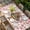 Multicolor, variant on Easter Table Cloths for 8 Foot Rectangle Tables, Bunny Ears Spring Pink Flowers Potted Plant Rustic Patio Waterproof Elastic Fitted Tablecloths, Washable Rectangular Table Cover for Camping