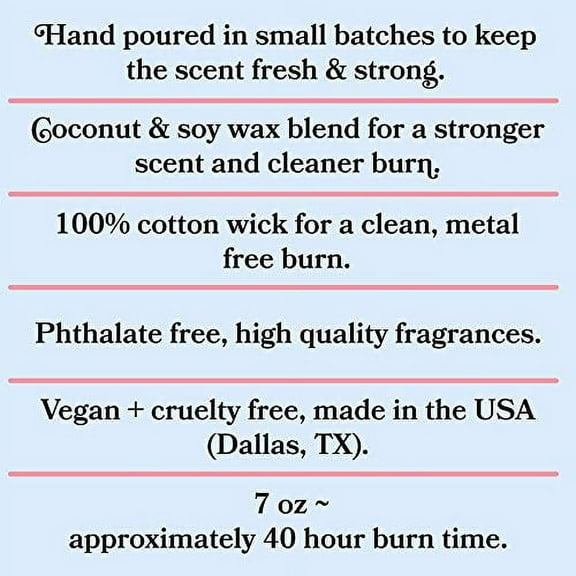 Cool Girl Candles | This Smells Like Sebastian Stan Scented Candle | All Natural Coconut Soy Wax | The Best Strong Scented Candles for Home Fragrance | Clean Burning | Funny Gifts