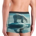 thumbnail image 5 of Daiia Polar Bear On Iceberg Men's Underwear Boxer Briefs, Cotton Stretch Moisture-Wicking Underwear-XX-Large, 5 of 9