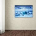 thumbnail image 3 of Erosion' Canvas Art by Philippe Sainte-Laudy, 3 of 3