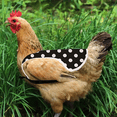 thumbnail image 4 of Delantal de silla de gallina, protector de plumas, protector de espalda, delantal de silla de pollo, 4 of 5
