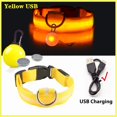 thumbnail image 1 of Typpkmm USB Charging Glowing Dog Collar with Pendant Detachable LED Light, 1 of 7