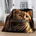 thumbnail image 1 of Couverture Ragdoll Chat Persan Calico Chat Garfield Couverture Douce pour Maison Chambre Lit Canapé Couverture Enfants, 1 of 7