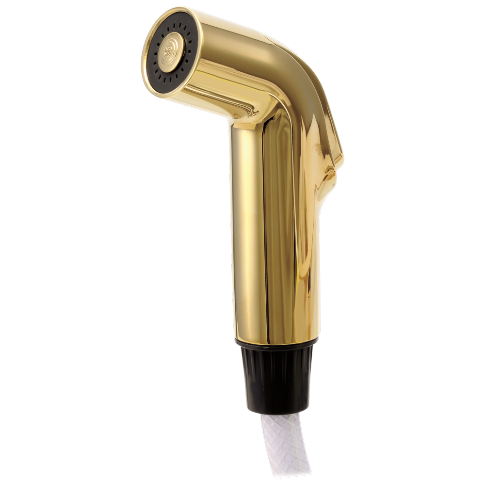 Delta Side Spray & Hose Assembly in Polished Brass