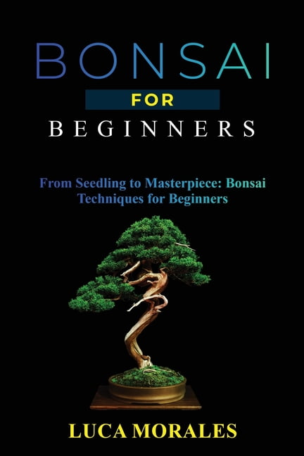 stammverdickung bonsai Juniperus Bonsai einstmmig  Wacholder