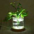 thumbnail image 4 of Uxcell Round Wooden 2.56" Colorful Light Display Base Stand LED Light Wood Color, 2Pcs, 4 of 7