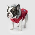thumbnail image 2 of Canada Pooch Everest Explorer Fleece Lined Insulated Dog Coat (Red, 28 (27-29" back length)), 2 of 4