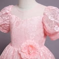thumbnail image 6 of QISIWOLE Children's Dress Girl Short Sleeve Princess Dress Flower Tail Dress Skirt Tutu Dress Savings, 6 of 9