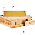 thumbnail image 5 of Bee Hive Medium Box Starter Kit, 100% Beeswax Coated Natural Fir Wood, Langstroth Beehive Kit with 10 Frames and Foundations, Transparent Acrylic Bee Windows for Beginners and Pro Beekeepers, 5 of 6
