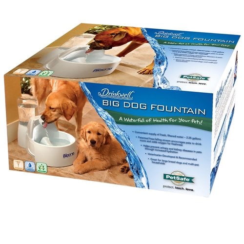 big dog drinking fountain