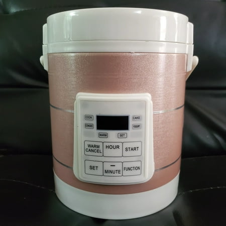 

YEYNGQC 12V and 24 V 1.2L car rice cooker suitable cars and trucks
