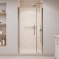 thumbnail image 3 of Pasadena 41"W x 72"H Frameless Pivot Alcove Shower Door in Satin Nickel, 3 of 13