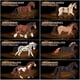 thumbnail image 4 of Juego de figuras de juguete Divwa, 8 piezas, caballo de plástico para niños de 15 a 16 cm, 4 of 6