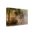 thumbnail image 4 of Anton Van Dongen 'Goose Fight' Canvas Art, 4 of 4