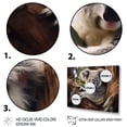 thumbnail image 3 of Designart "Koala Haven Australia painting I" Animals Floater Framed Wall Art Living Room, 3 of 7