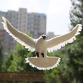 thumbnail image 2 of 2 Piezas de Pájaro de Paloma con Plumas Artificiales Decoración de Estatuil Pájaro C + a de Pie Sunnimix Artificial Pigeon Decoy, 2 of 8