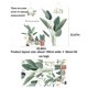 thumbnail image 3 of Cateissary Pegatinas de pared de plantas verdes, papel tapiz de PVC, calcomanías frescas, póster de arte, Mural, pegatina de fondo, adornos para el hogar Decoración del hogar Cateissary HA076907-00, 3 of 6