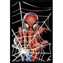 Marvel Comics - Spider-Man - Web Wall Poster, 22.375" x 34", Framed