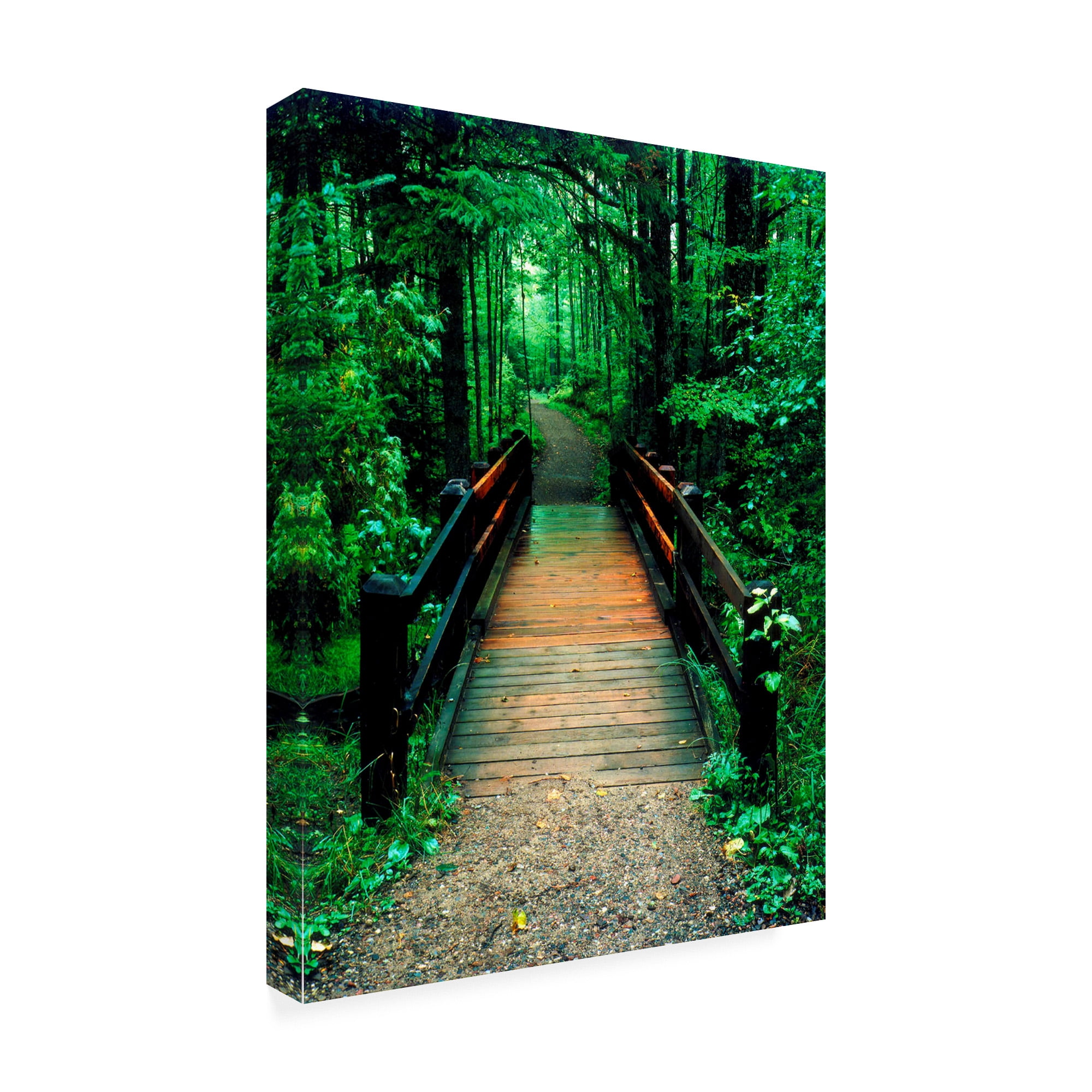 Trademark Fine Art 'Wooden Bridge Sundell Michigan' Canvas Art by Monte Nagler