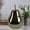 Sage, variant on Heidi Polished Ceramic Pear Figurines Set – Decorative Modern Fruit Sculptures, Glossy Finish Home Décor Accent for Living Room, Tabletop (Small, Saga)