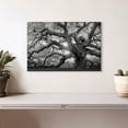 thumbnail image 2 of Elephant Stock Monochrome Angel Oak Tree Wall Art - Horizontal Canvas Wall Art - Living Room Wall Decor - Floral And Botanical Canvas - Black And Gray Decor - 12" x 8", 2 of 8