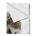 thumbnail image 2 of Hedgehog Soft Flannel Fleece Blanket, Atelerix Albiventris Photography with Mother and Children Love and Family Theme, Cozy Plush for Indoor and Outdoor Use, 50" x 60", Brown Ivory, by Ambesonne, 2 of 5