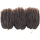 thumbnail image 3 of Extensiones de cabello sintético para mujer, trenzas de ganchillo de 8 pulgadas, 6 paquetes/lote, trenzas rizadas, giros de primavera, T27 #, 3 of 5